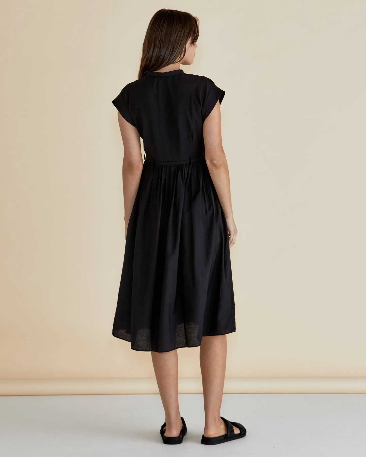 Betty Basics Elianna Dress Black