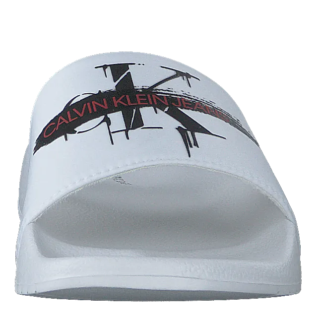 Cassiopea White