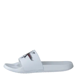 Cassiopea White