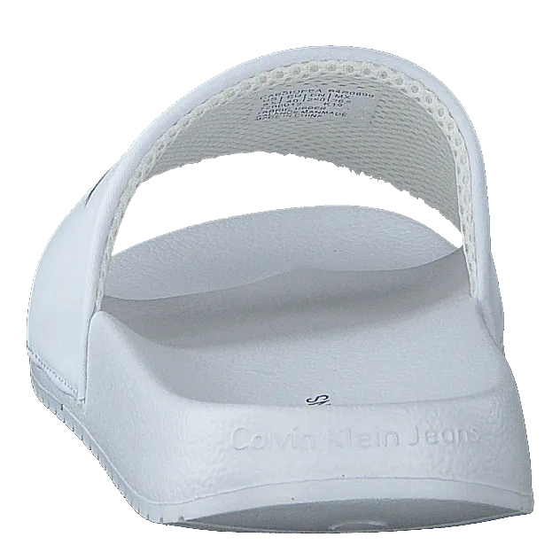 Cassiopea White