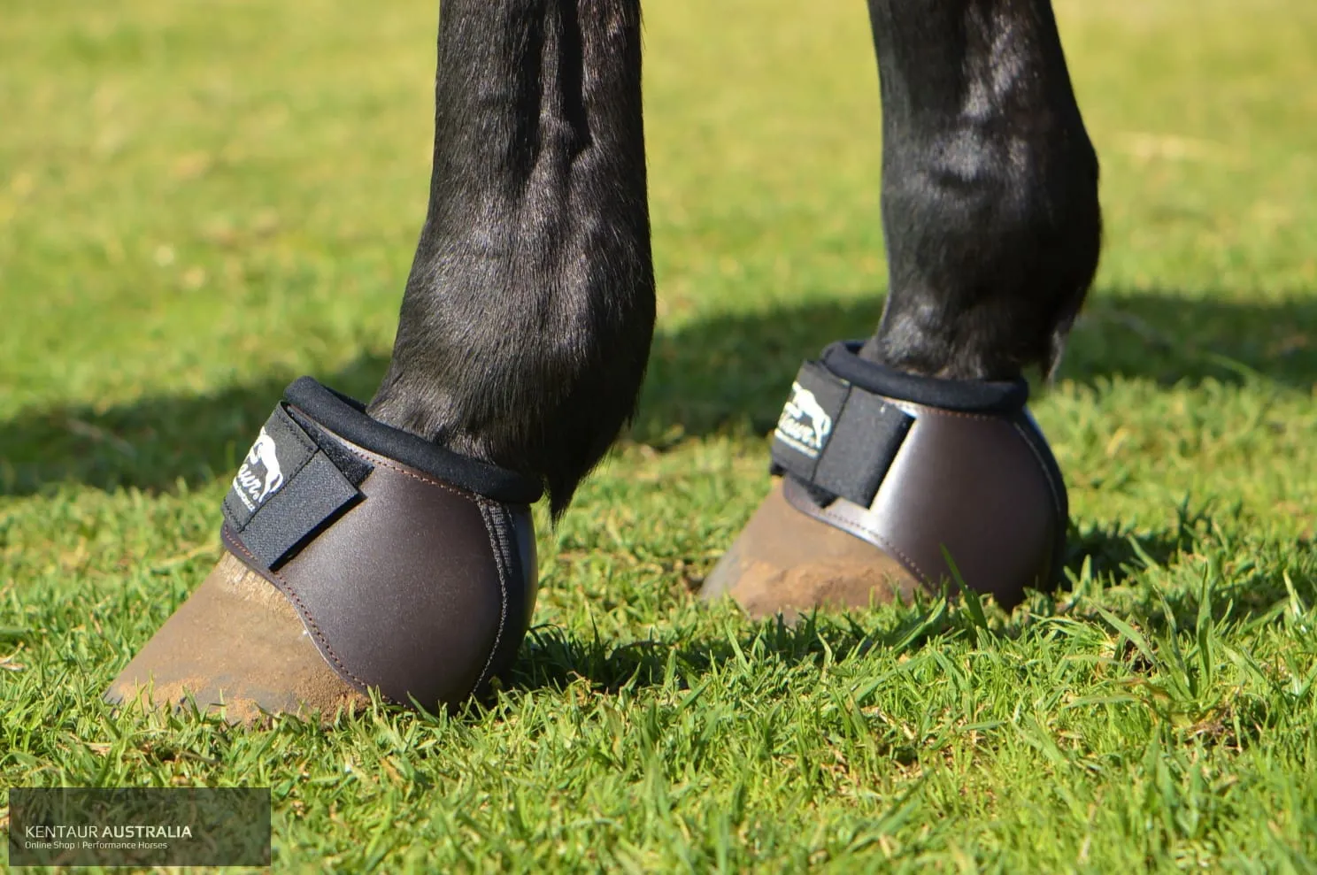 Kentaur 'Anatomic' Leather Bell Boots