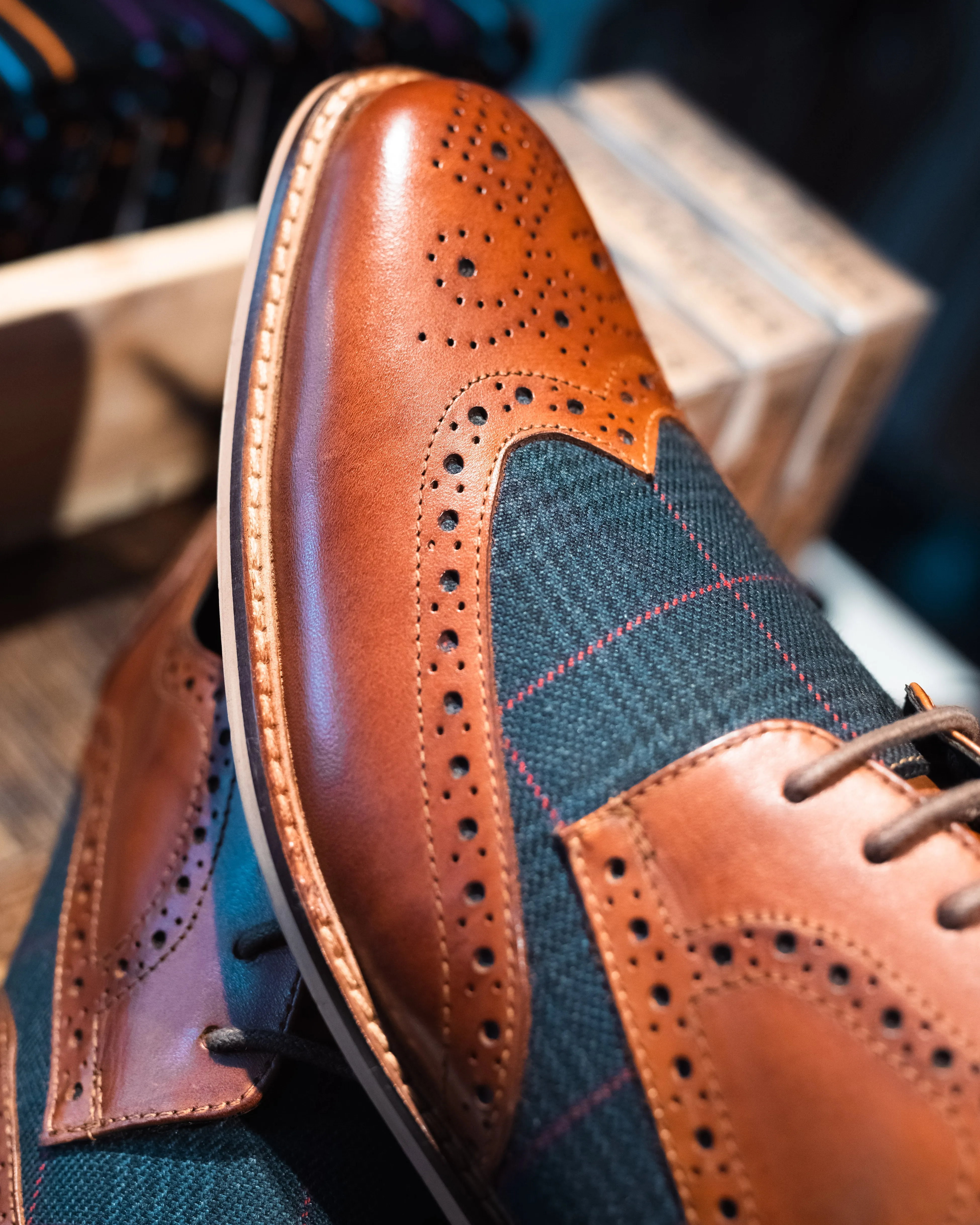Roamers Tan With Navy Check Contrast Brogues