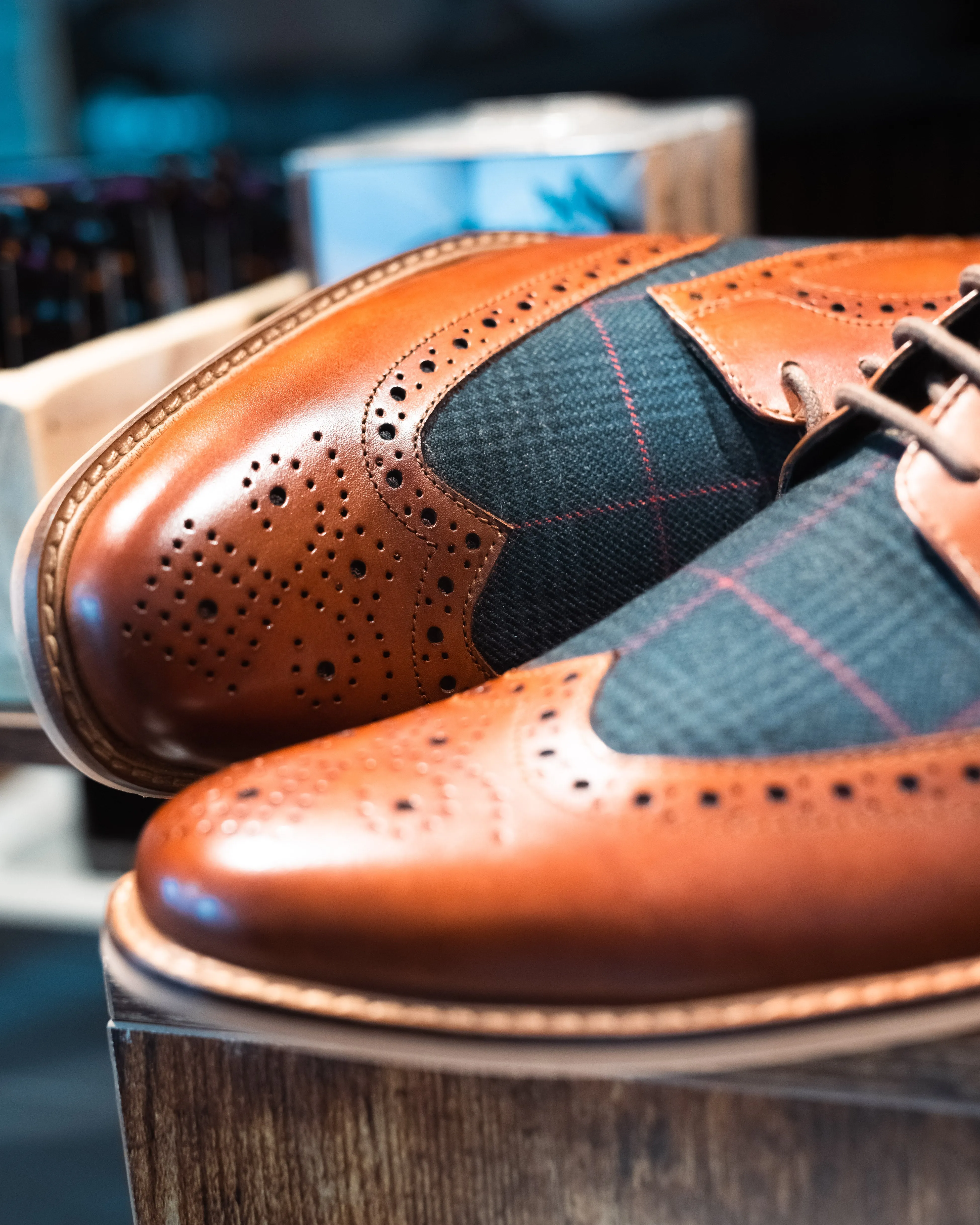 Roamers Tan With Navy Check Contrast Brogues