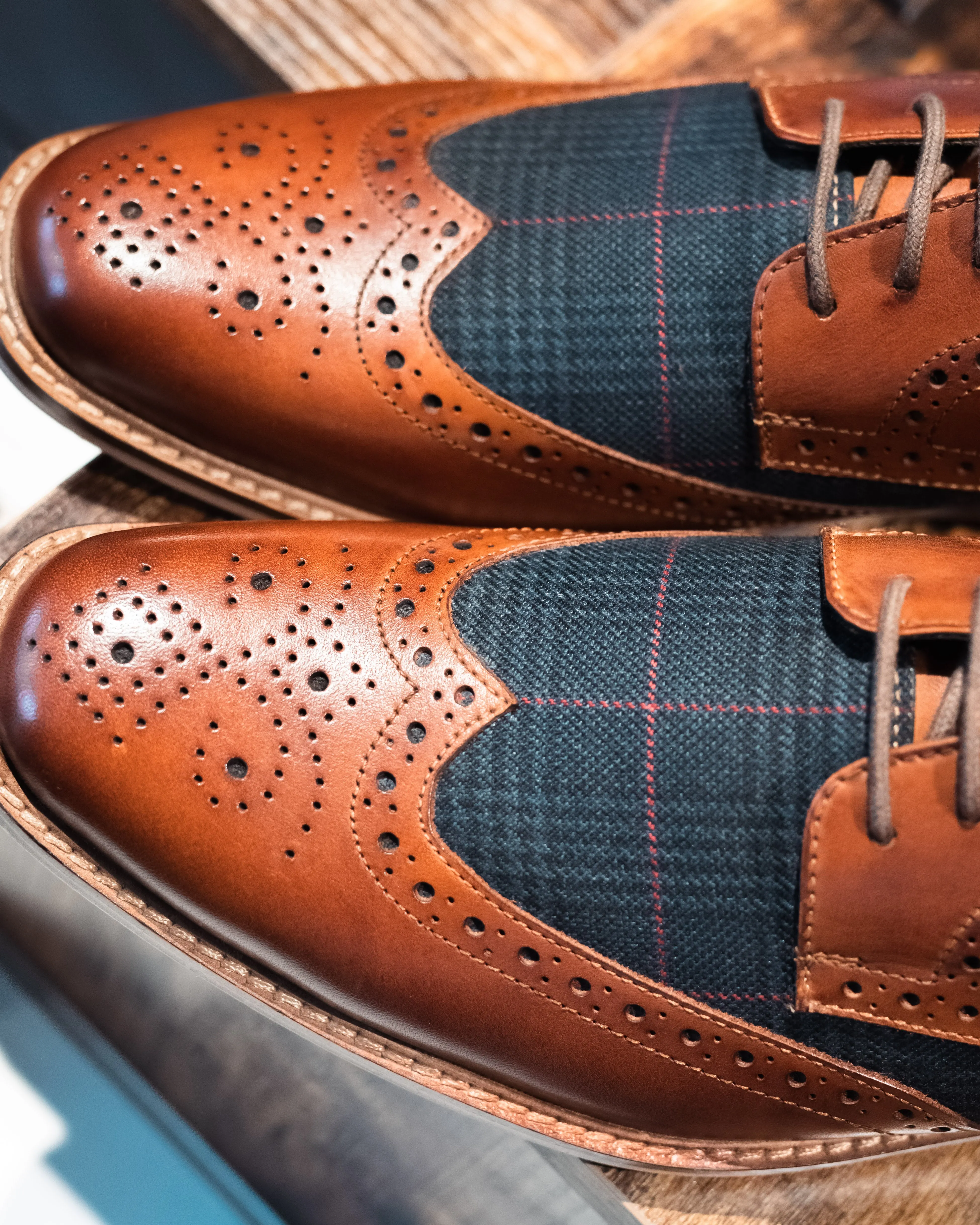 Roamers Tan With Navy Check Contrast Brogues