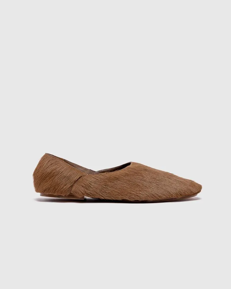 Special Project in Open Brown