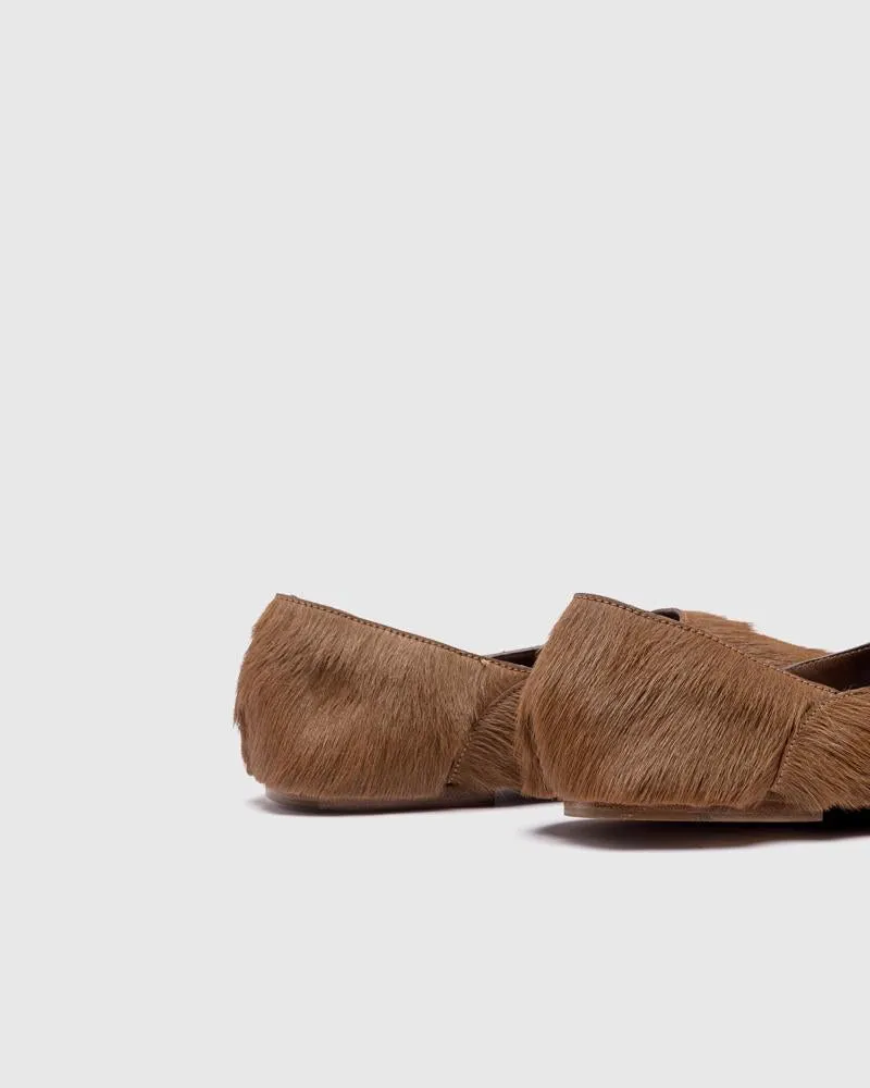 Special Project in Open Brown