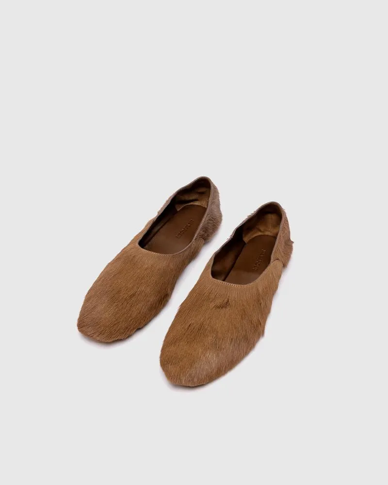 Special Project in Open Brown