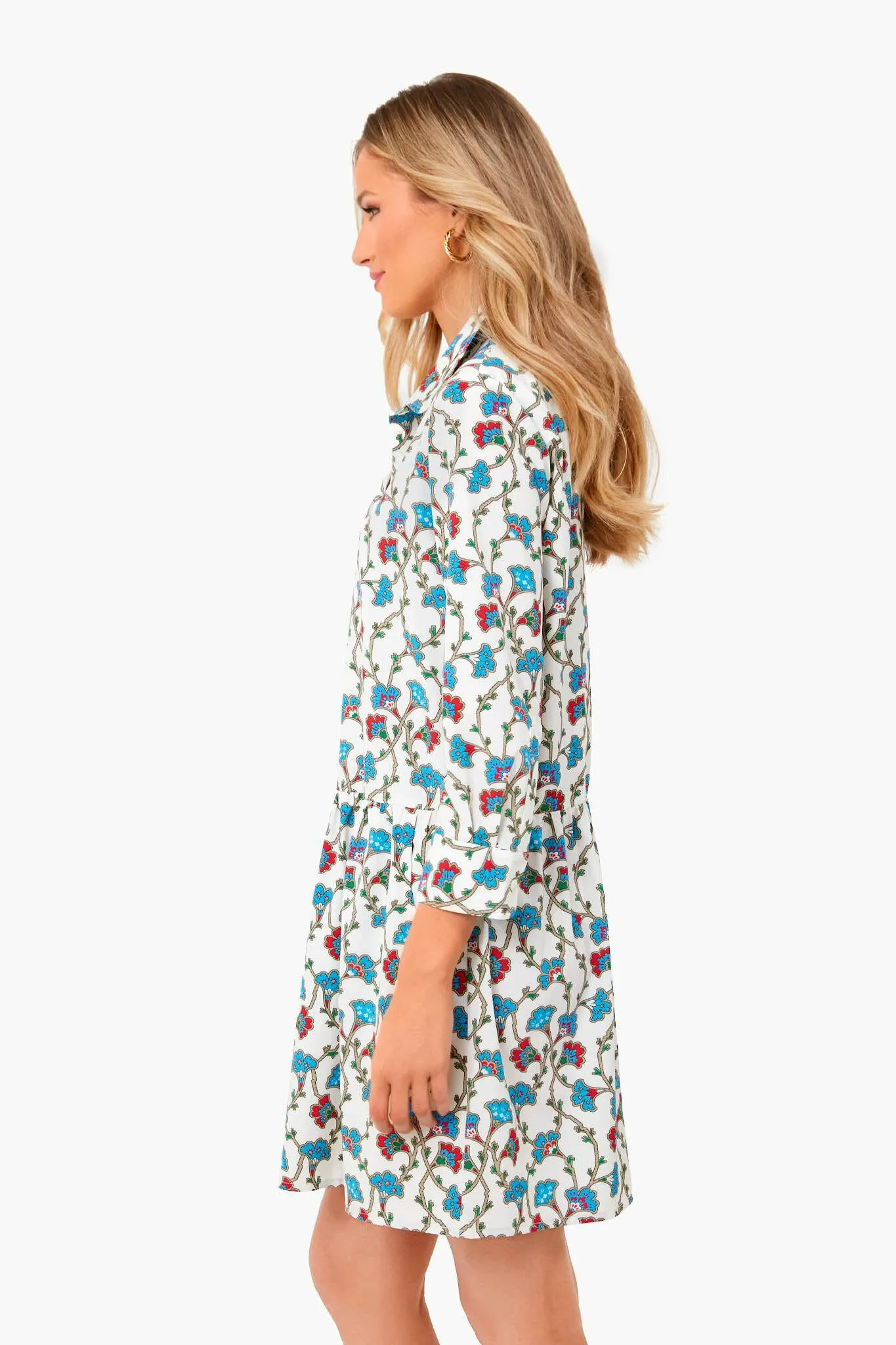 Summer Vines Hayes Dress