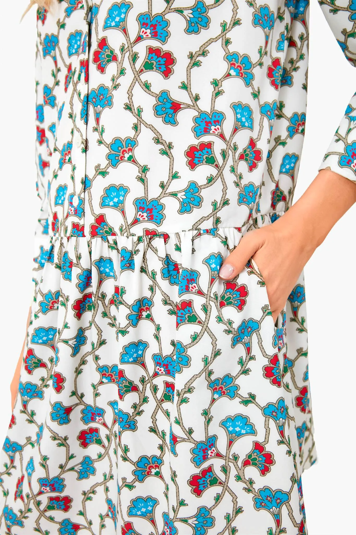 Summer Vines Hayes Dress