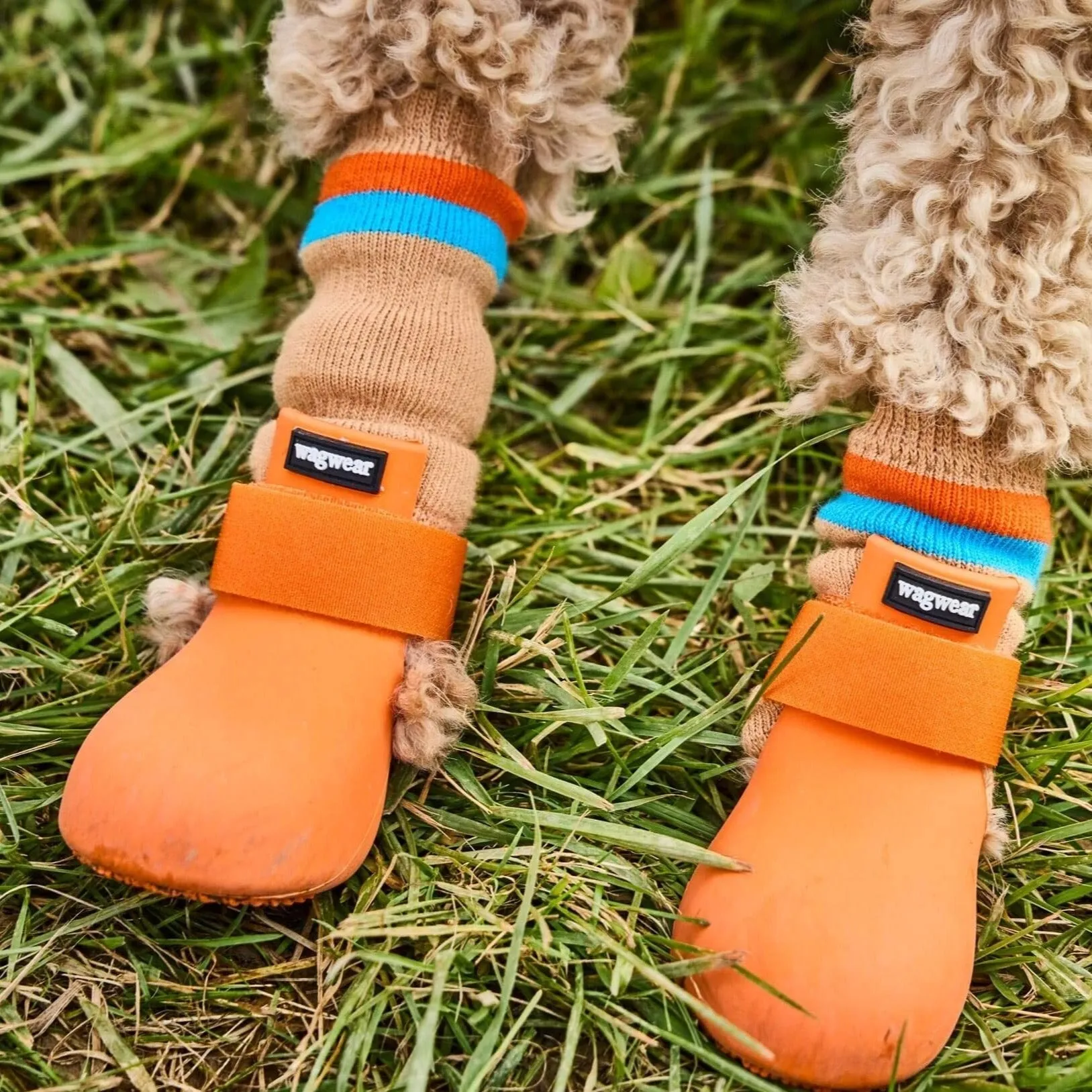 wagwellies rain boots - orange